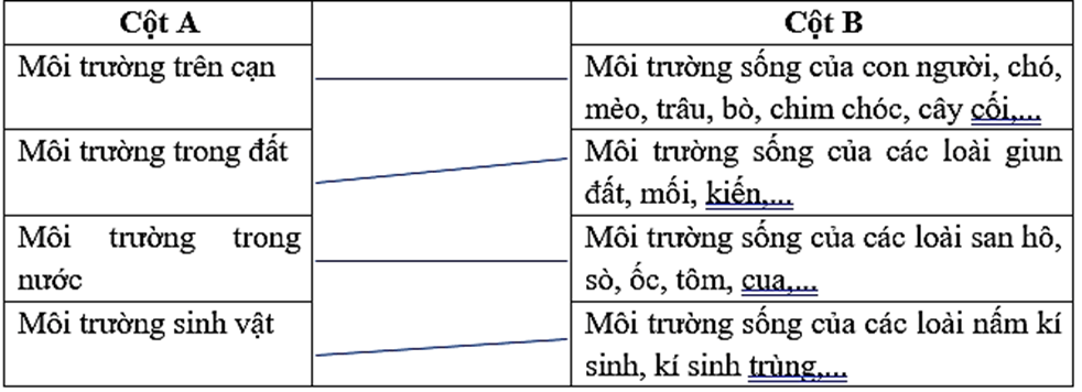 BÀI 7: MÔI TRƯỜNG SỐNG QUANH EM