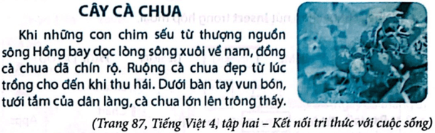 BÀI 6: ĐỊNH DẠNG KÍ TỰ VÀ BỐ TRÍ HÌNH ẢNH TRONG VĂN BẢN