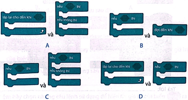 BÀI 13: CẤU TRÚC RẼ NHÁNH