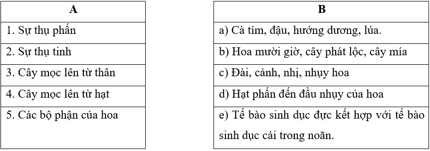 Tech12h