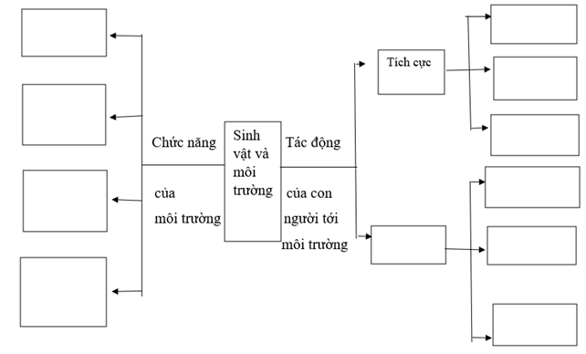 Tech12h