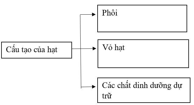 Tech12h