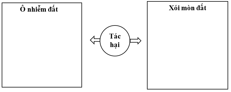 Tech12h
