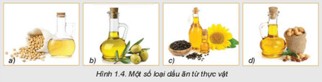 CHƯƠNG 1 – DINH DƯỠNG VÀ THỰC PHẨMBÀI 1 – THÀNH PHẦN DINH DƯỠNG TRONG THỰC PHẨM