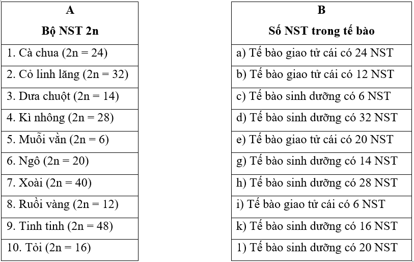 Tech12h