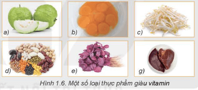 CHƯƠNG 1 – DINH DƯỠNG VÀ THỰC PHẨMBÀI 1 – THÀNH PHẦN DINH DƯỠNG TRONG THỰC PHẨM