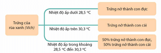 Tech12h