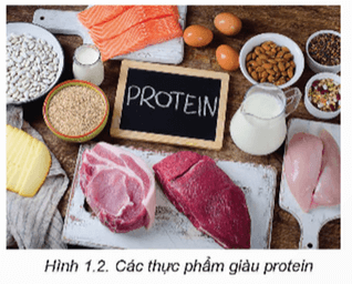 CHƯƠNG 1 – DINH DƯỠNG VÀ THỰC PHẨMBÀI 1 – THÀNH PHẦN DINH DƯỠNG TRONG THỰC PHẨM