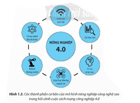 CHỦ ĐỀ 1 – MÔ HÌNH NÔNG NGHIỆP CÔNG NGHỆ CAO