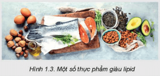 CHƯƠNG 1 – DINH DƯỠNG VÀ THỰC PHẨMBÀI 1 – THÀNH PHẦN DINH DƯỠNG TRONG THỰC PHẨM