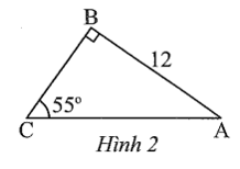 Tech12h