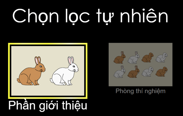 CHỦ ĐỀ E - ỨNG DỤNG TIN HỌC – E1 – PHẦN MỀM MÔ PHỎNG VÀ KHÁM PHÁ TRI THỨCBÀI 2 – THỰC HÀNH SỬ DỤNG PHẦN MỀM MÔ PHỎNG