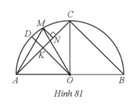 ÔN TẬP CHƯƠNG 5