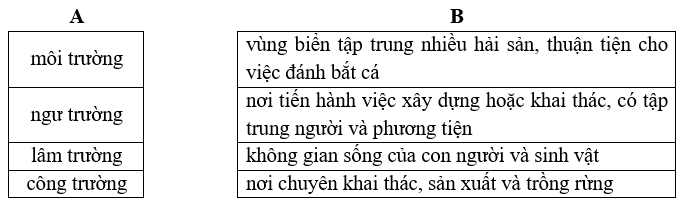 BÀI 8 – DƯỚI NHỮNG TÁN XANH