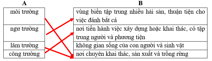 BÀI 8 – DƯỚI NHỮNG TÁN XANH