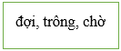 BÀI 5 – ÔNG TRẠNG NỒI