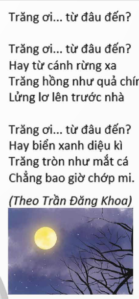 TRẮC NGHIỆM