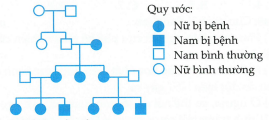 TRẮC NGHIỆM