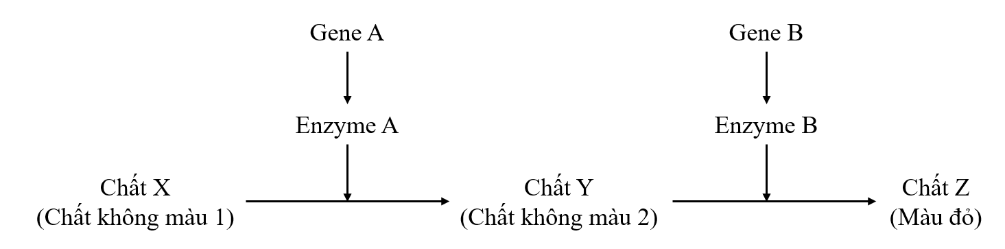 TRẮC NGHIỆM