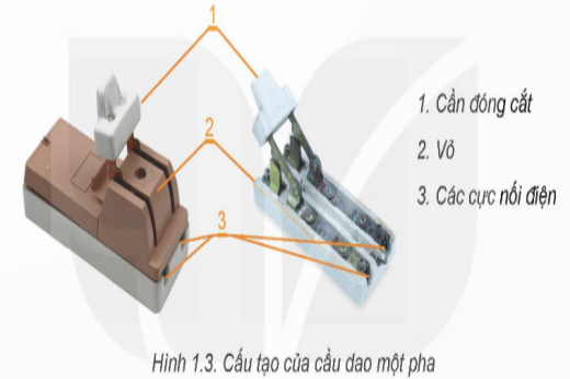 1. NHẬN BIẾT (4 CÂU)