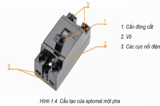 1. NHẬN BIẾT (4 CÂU)