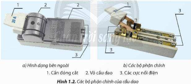 1. NHẬN BIẾT (6 CÂU)