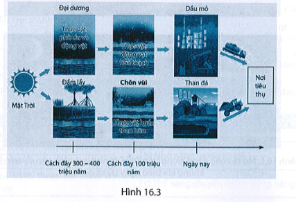 4. VẬN DỤNG CAO (2 CÂU)