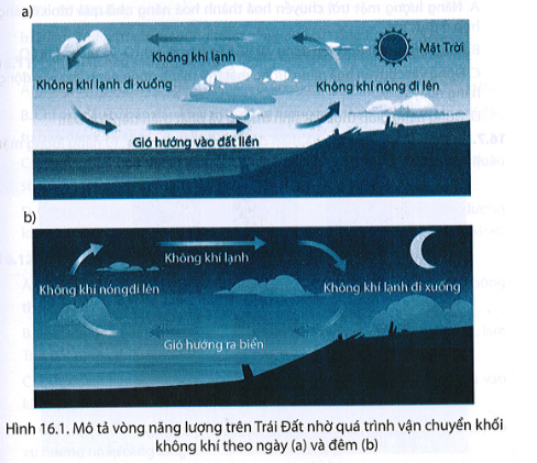 3. VẬN DỤNG (4 CÂU)