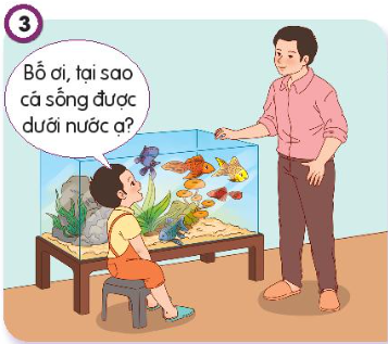 TRẮC NGHIỆM