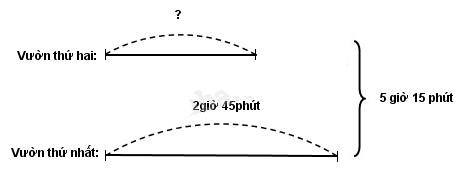 Tech12h