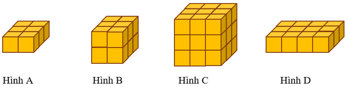 2. THÔNG HIỂU (3 CÂU)