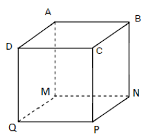 1. NHẬN BIẾT (5 câu)