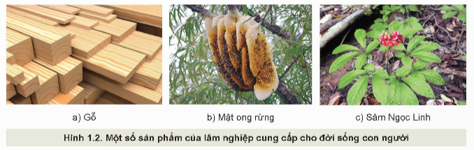 1. NHẬN BIẾT (7 CÂU)