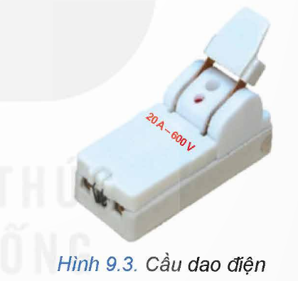 1. NHẬN BIẾT (4 CÂU)