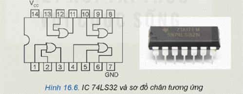 1. NHẬN BIẾT (5 CÂU)