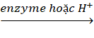 Tech12h
