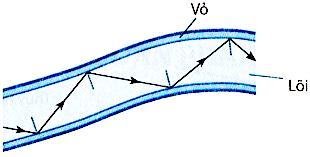 3. VẬN DỤNG (4 CÂU) 