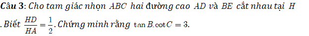 4. VẬN DỤNG CAO (3 câu)