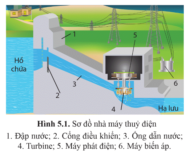 1. NHẬN BIẾT (7 CÂU)