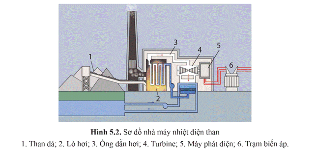 1. NHẬN BIẾT (7 CÂU)