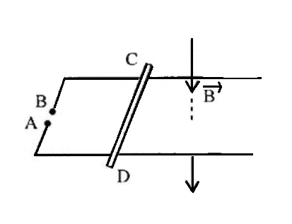 4. VẬN DỤNG CAO (2 CÂU)