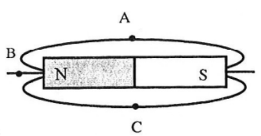 3. VẬN DỤNG (4 CÂU)