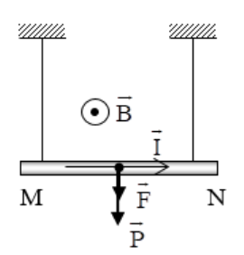 Tech12h