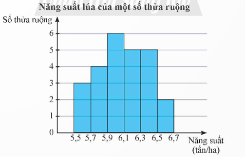 3. VẬN DỤNG (3 CÂU)
