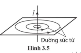3. VẬN DỤNG (4 CÂU)