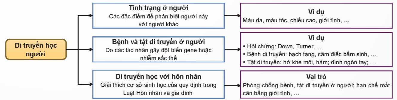 CHỦ ĐỀ 11: DI TRUYỀNÔN TẬP CHỦ ĐỀ 11