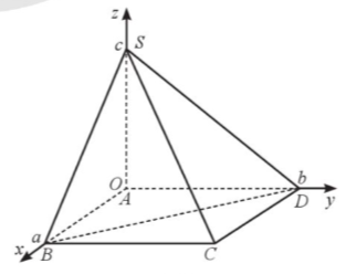 3. VẬN DỤNG (5 câu)