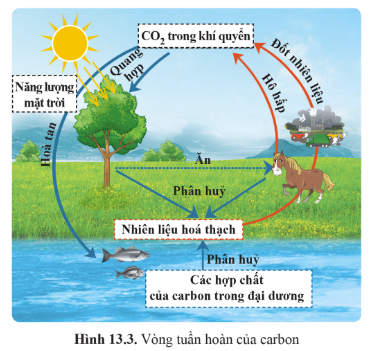 CHỦ ĐỀ 5: NĂNG LƯỢNG VỚI CUỘC SỐNGBÀI 13: SỬ DỤNG NĂNG LƯỢNG