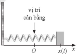3. VẬN DỤNG (6 câu)