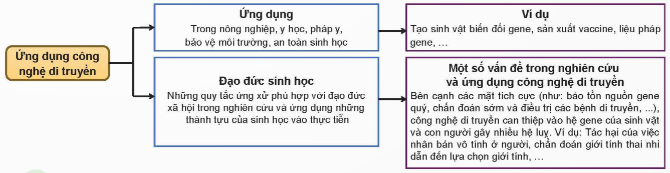 CHỦ ĐỀ 11: DI TRUYỀNÔN TẬP CHỦ ĐỀ 11